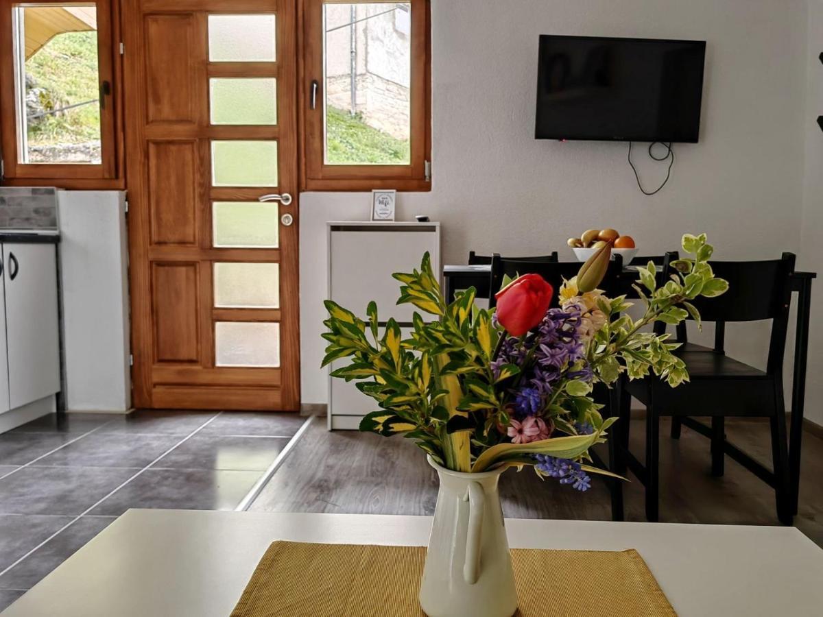 Ive Andrica 3 Apartman Višegrad Kültér fotó